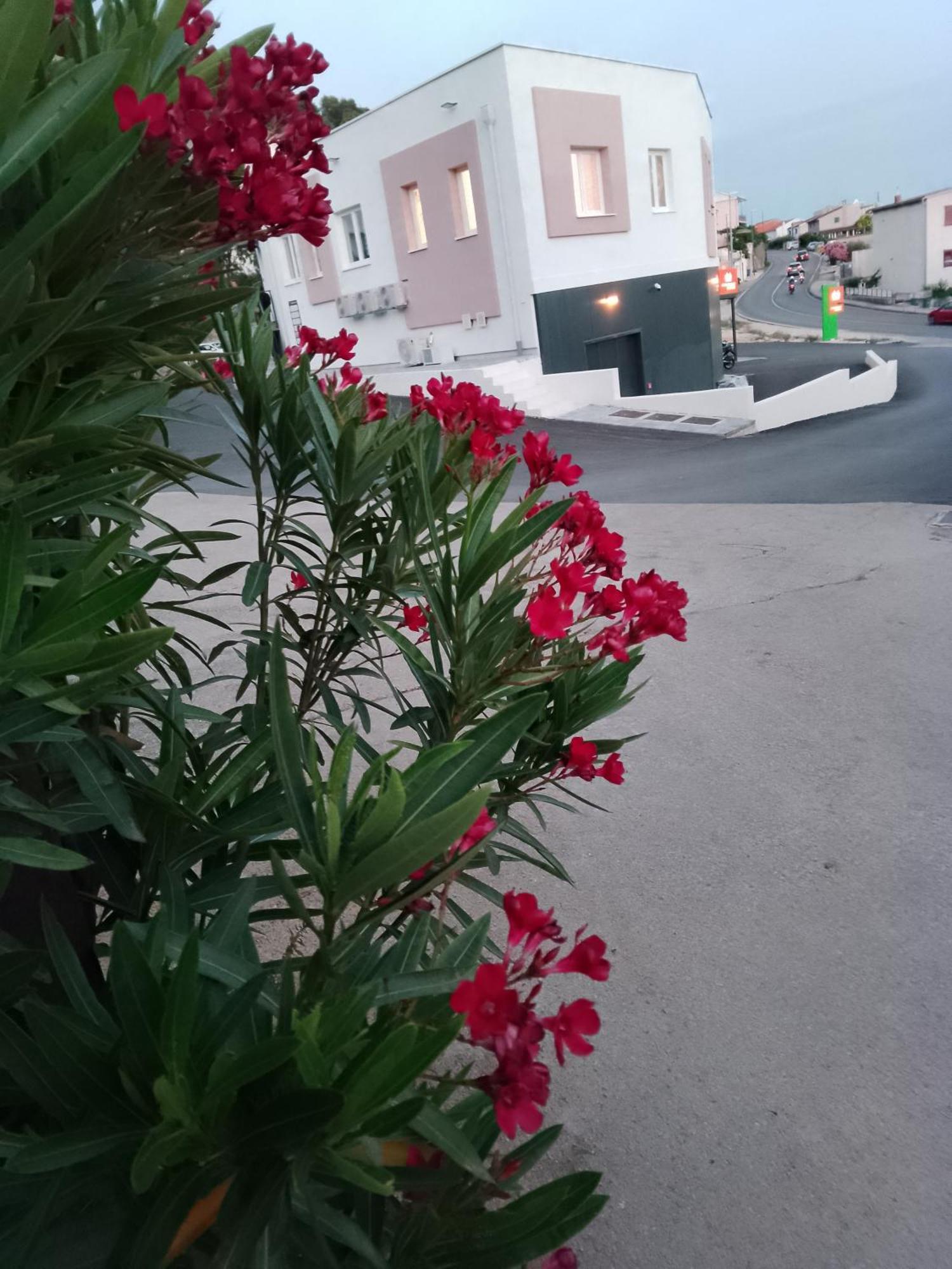 Marin Apartment Sibenik Exterior photo